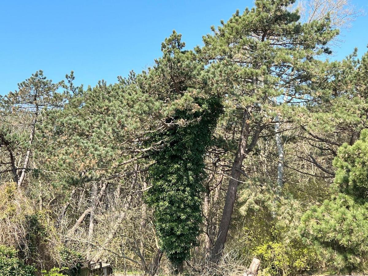 圣彼得奥尔丁Haus-Groede-Whg-08公寓 外观 照片